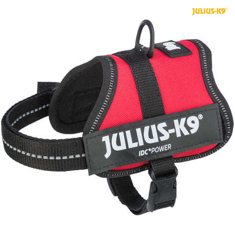Rotes Geschirr mit schwarzem Rand und weißem "Julius-K9" Aufdruck in großen Buchstaben.