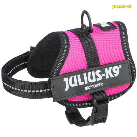 Pinkfarbenes Hundegeschirr mit schwarzem Rand, grauem reflektierendem Streifen und aufgedrucktem "JULIUS-K9"-Logo.