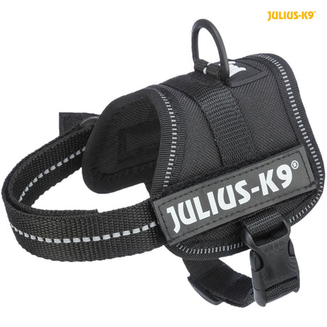 Schwarzes Hundegeschirr mit verstellbaren Riemen und reflektierenden Streifen, Aufschrift "JULIUS-K9" sichtbar.