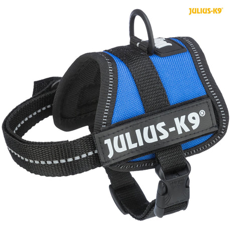 Blaues und schwarzes Hundegeschirr mit reflektierenden Streifen, markiert mit "JULIUS-K9" auf einem Etikett.