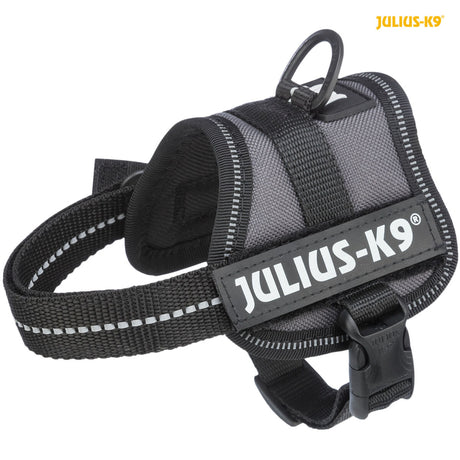 Schwarzes Hundegeschirr mit reflektierenden Streifen und gut sichtbarem „Julius-K9“-Logo.