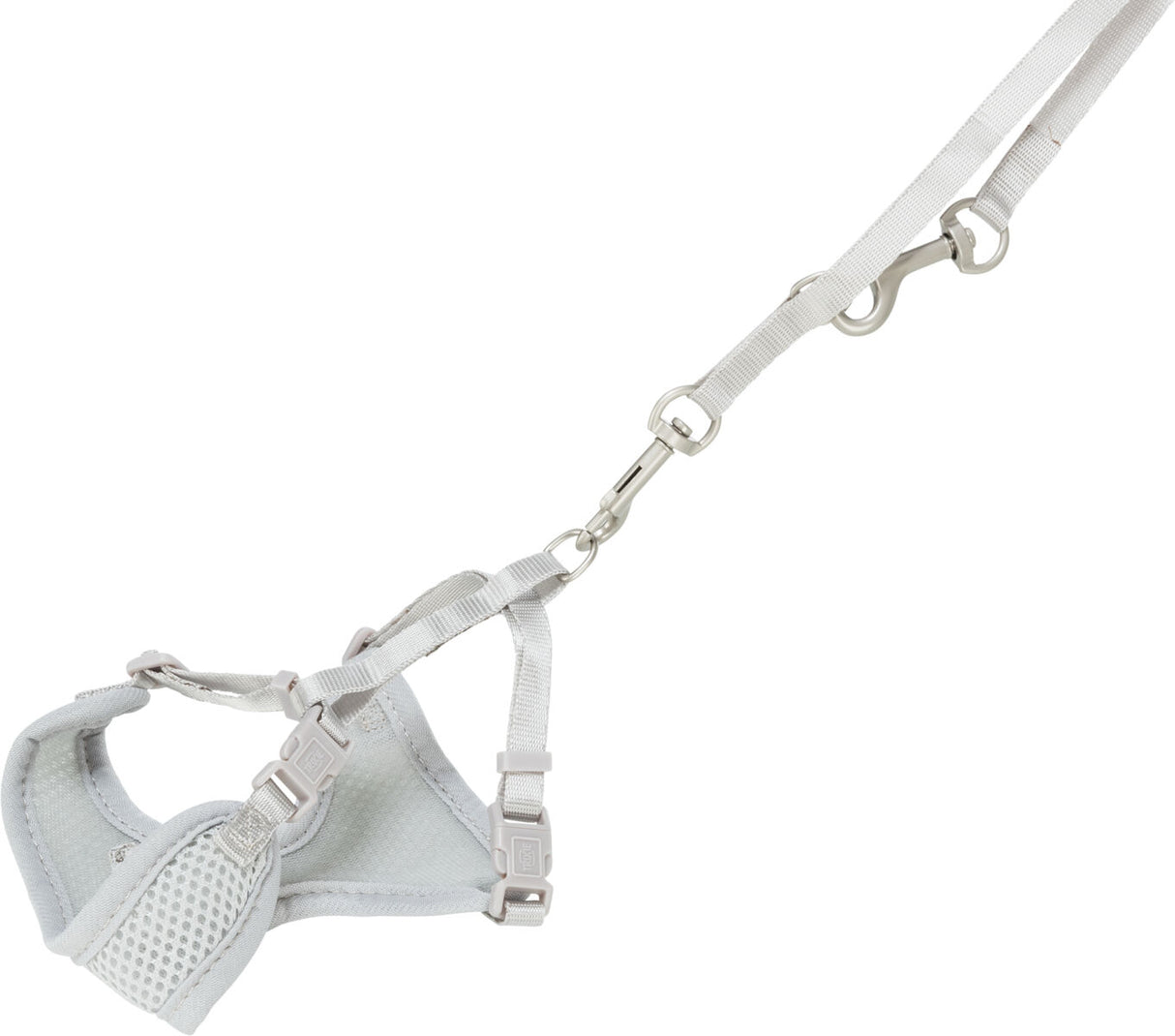Hellgraues Geschirr mit Leine und Schnallen aus Metall, geeignet für kleine Haustiere.