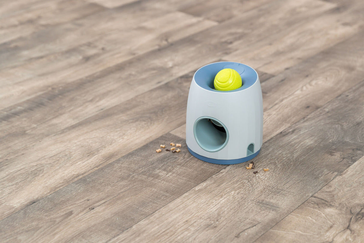Grauer Ballwerfer mit gelbem Ball auf Holzfußboden, daneben kleine Leckerchen verteilt.
