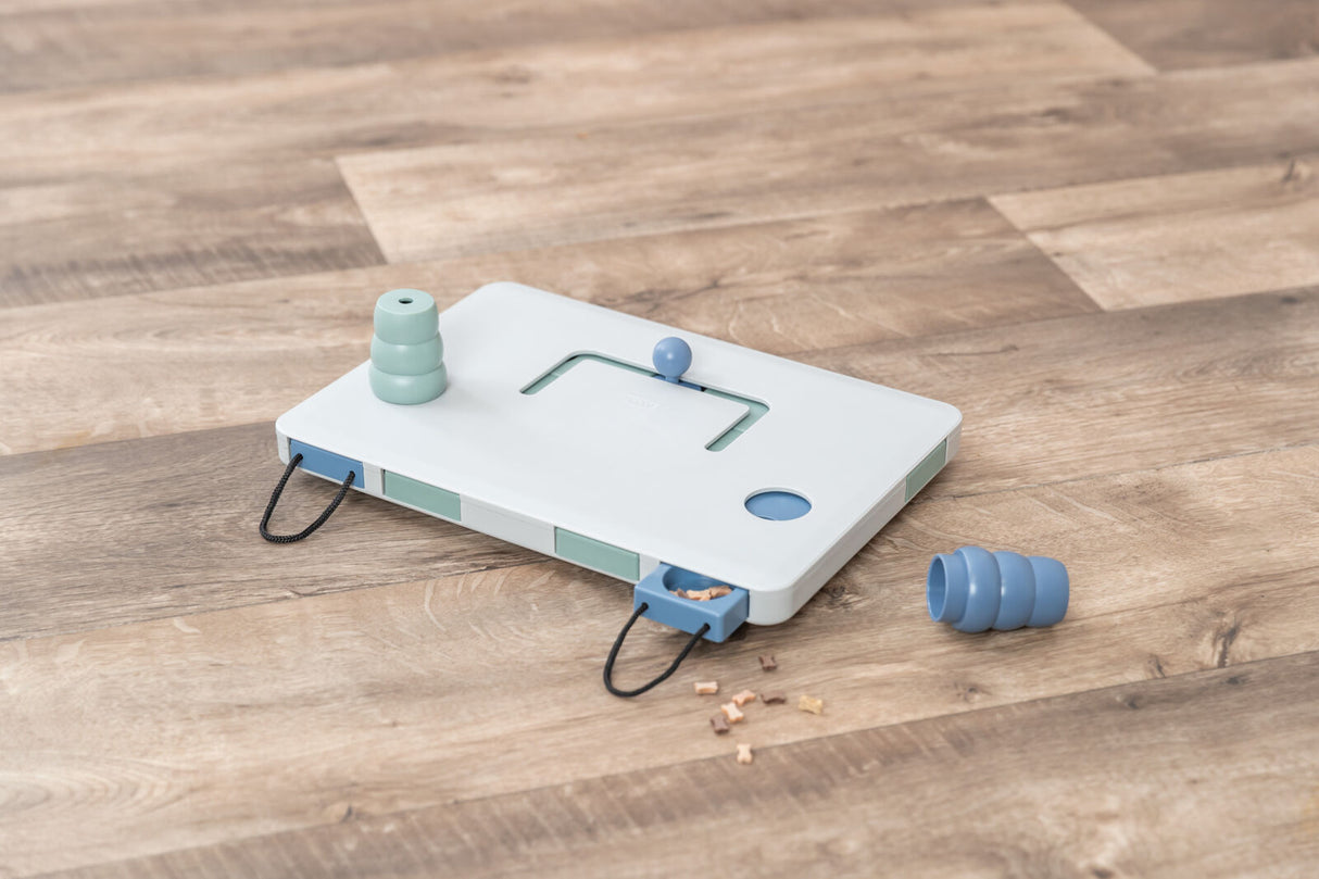 Move2Win Strategiespiel