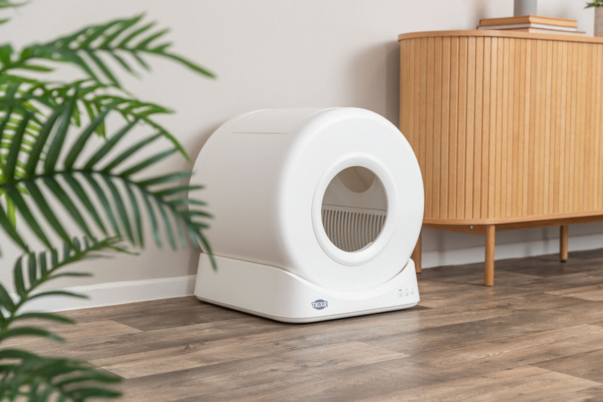 Ein rundes, weißes Gerät steht auf einem Holzboden neben einem Holzmöbelstück und einer grünen Pflanze.