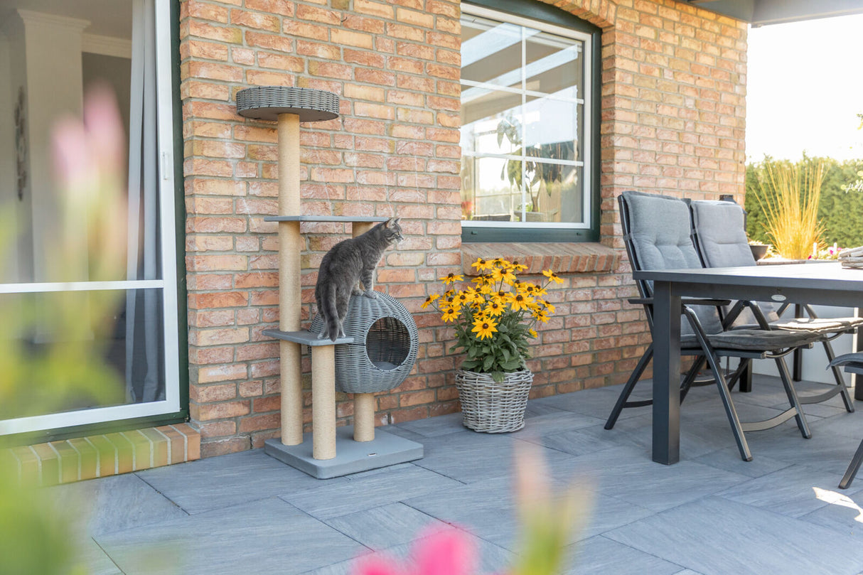 Graue Katze steht auf einem Kratzbaum neben einem Korb mit gelben Blumen auf einer Terrasse.