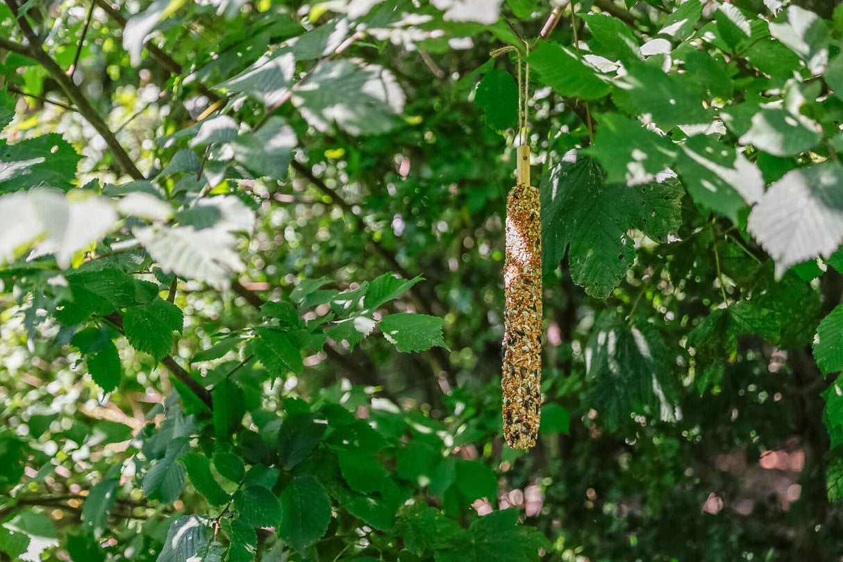 Ein länglicher Futterstab mit Samen hängt an einer Schnur zwischen grünen Blättern in einem Baum.