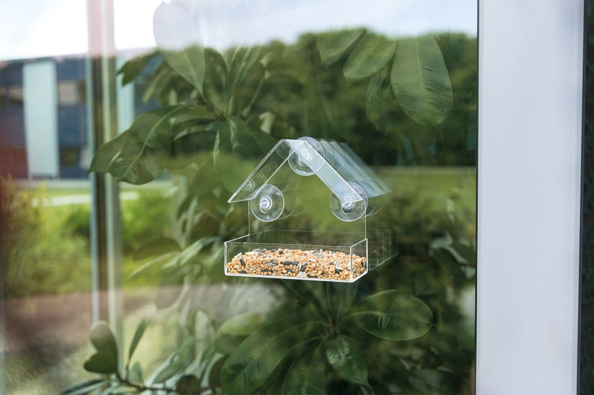 Ein transparentes Vogelhaus ist mit Saugnäpfen an einer Glasscheibe befestigt und enthält verschiedene Körner.