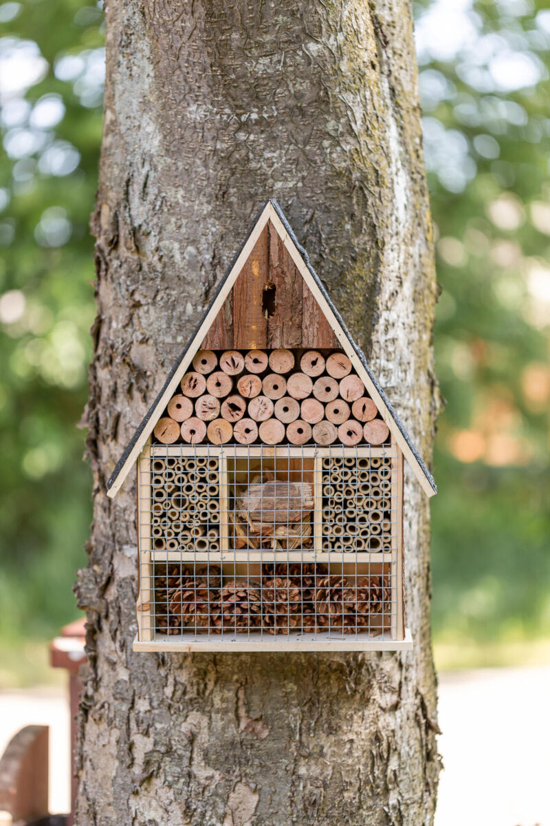 Insektenhotel aus Holz und Röhren befestigt an einem Baumstamm, mit Gitter und Kiefernzapfen gefüllt.