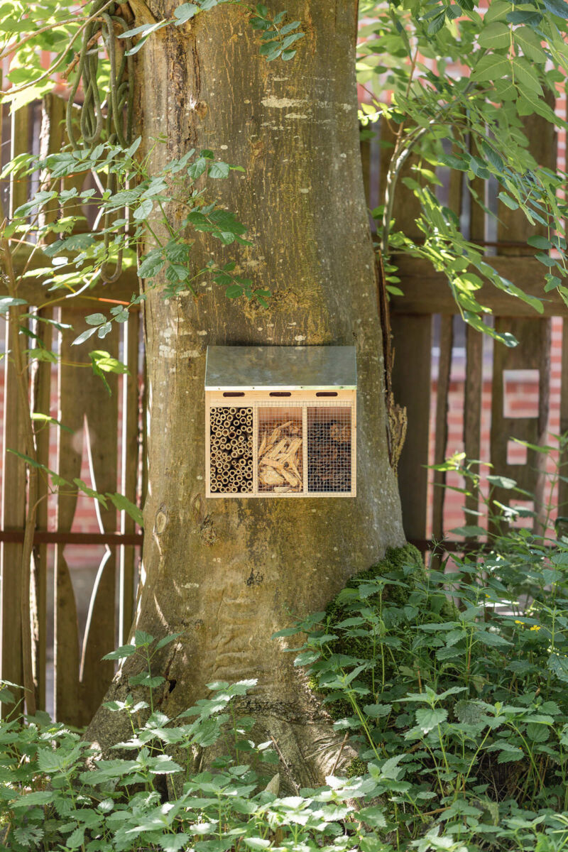 Ein Insektenhotel mit drei Fächern hängt an einem Baumstamm, umgeben von grünem Laub und Brennnesseln.