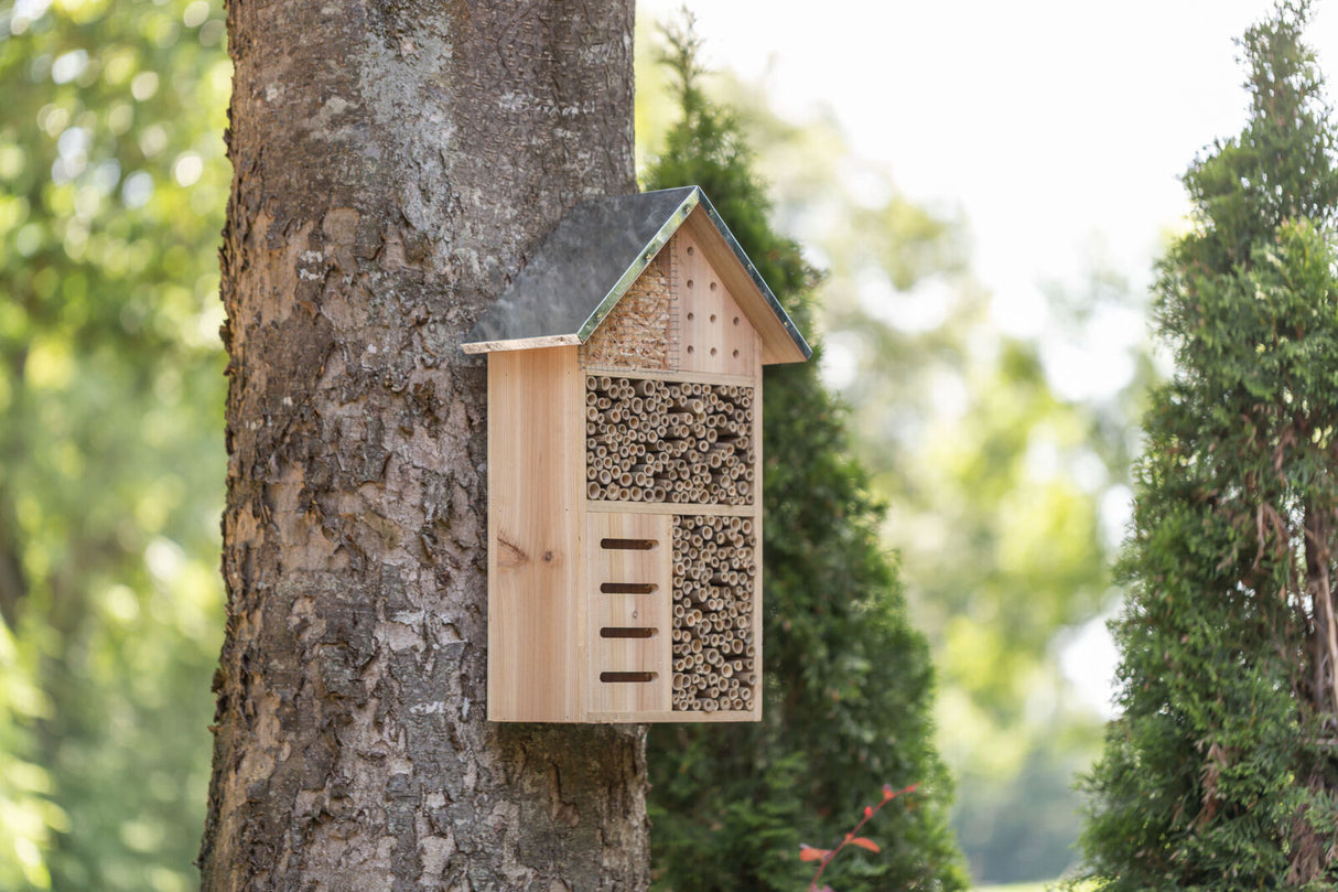 Holzinsektenhotel mit Dach an Baum befestigt, gefüllt mit hohlen Stängeln und Schlitzen, im Gartenumfeld.