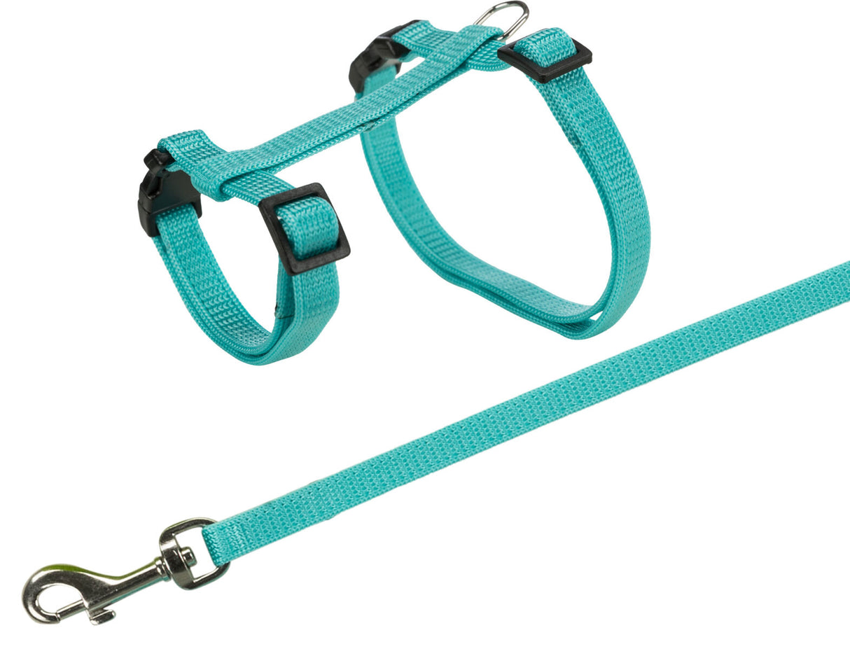 Türkises Geschirr mit verstellbaren Gurten und passender Leine, Metallclip am Ende der Leine.