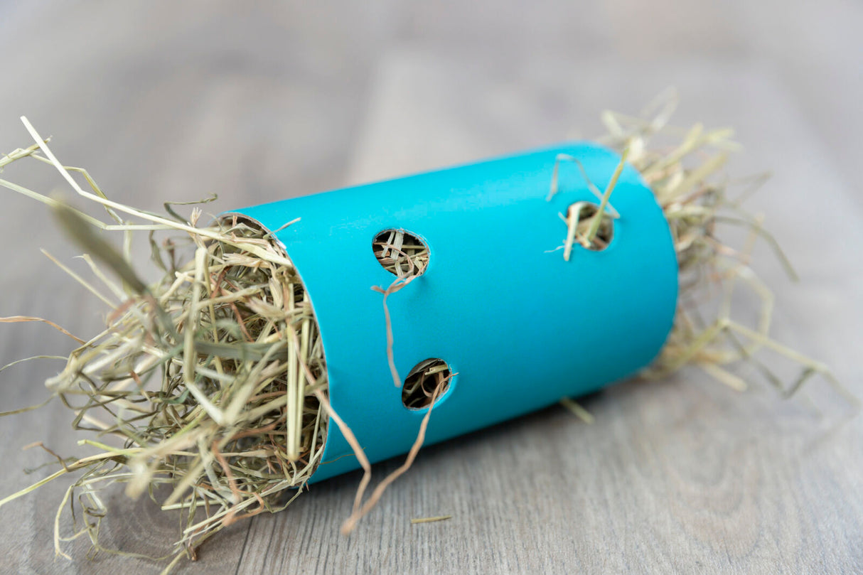 Türkisfarbene Röhre mit Heu, durch Löcher sichtbar, liegt auf einem hölzernen Untergrund.