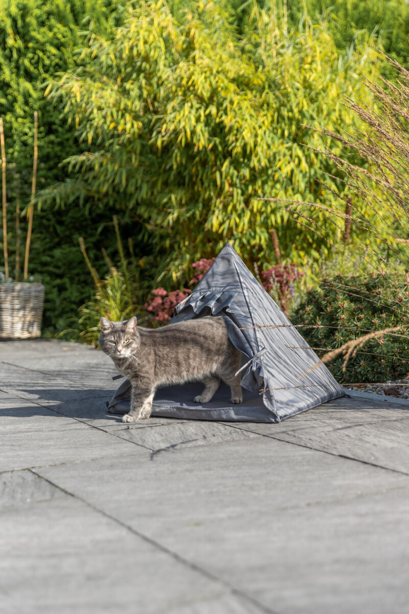 Graue Katze steht vor einem kleinen grauen Zelt auf einer Terrasse mit Garten im Hintergrund.