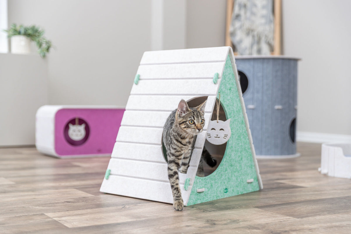 Getigerte Katze tritt aus dreieckiger, grüner Spielhöhle auf Holzboden.