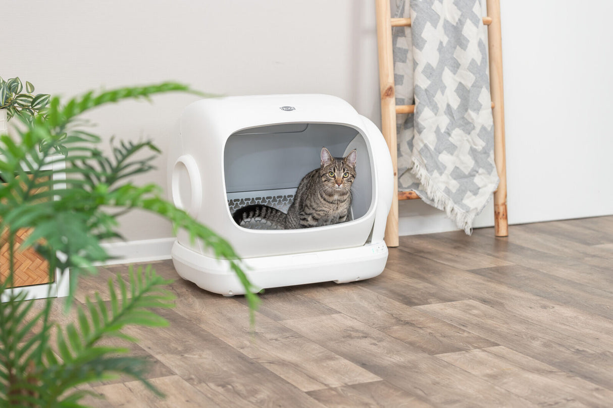 Getigerte Katze sitzt in einer weißen Katzentoilette mit Haube auf Holzboden.