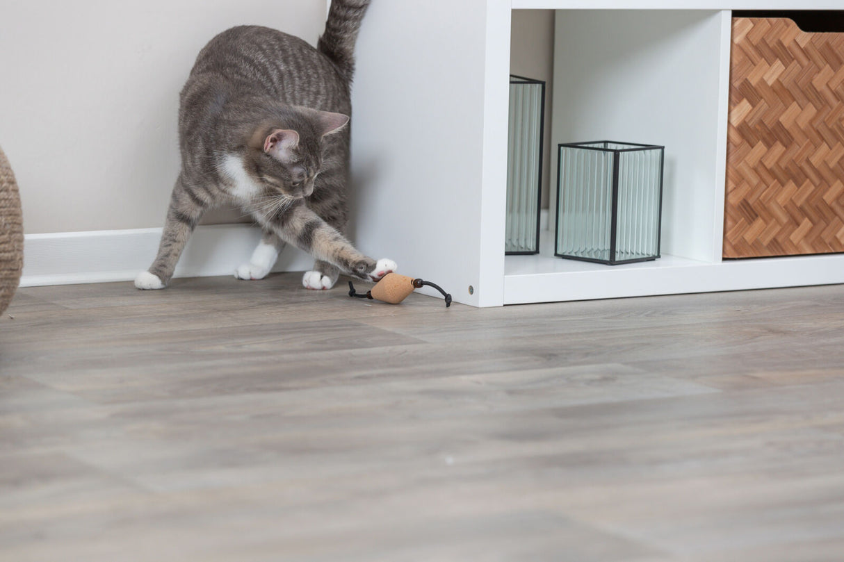Graue Katze spielt mit einem kleinen Spielzeug auf einem Holzfußboden neben einem weißen Regal mit Dekogegenständen.