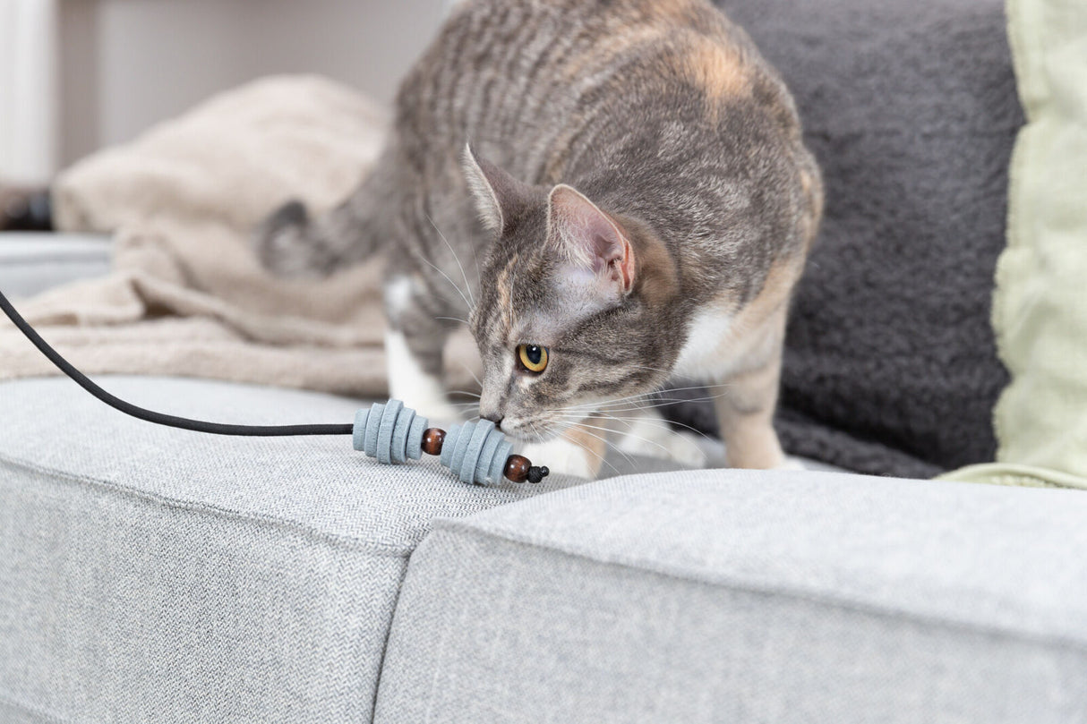 Eine grau-weiße Katze schnüffelt an einem Kabel mit grauen und braunen Elementen auf einem hellgrauen Sofa.