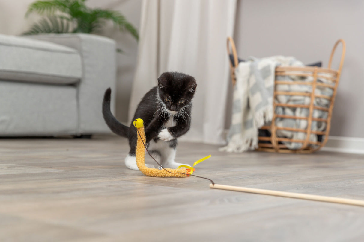 Schwarz-weiße Katze spielt mit gelbem Spielzeug auf Holzboden; Hintergrund mit Korb und Sofa.