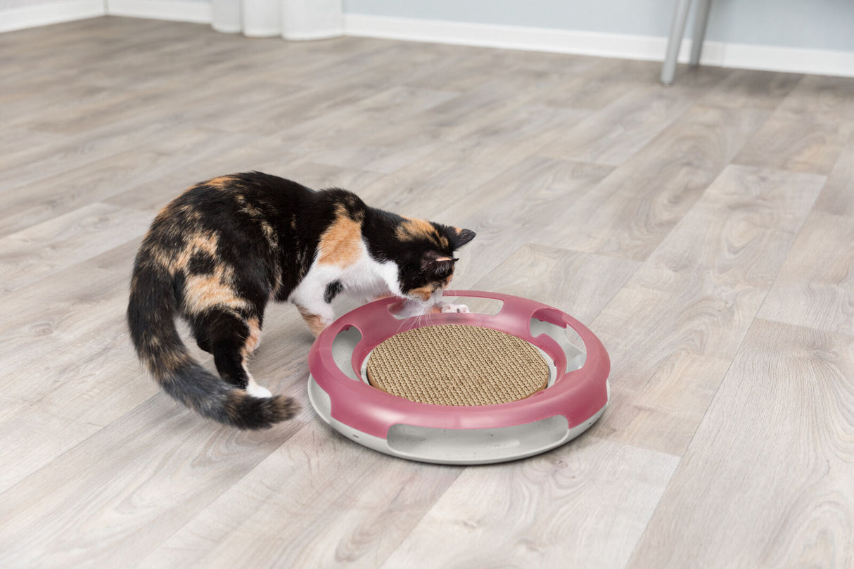 Dreifarbige Katze untersucht ein kreisförmiges Katzenspielzeug mit einer rot-beige Oberfläche auf Holzfußboden.