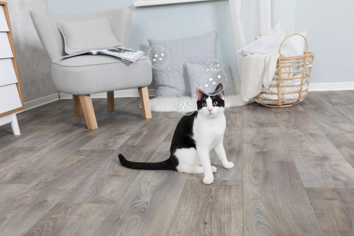 Eine schwarz-weiße Katze sitzt auf einem Holzboden in einem Wohnzimmer mit grauem Sessel, Kissen und Korb.