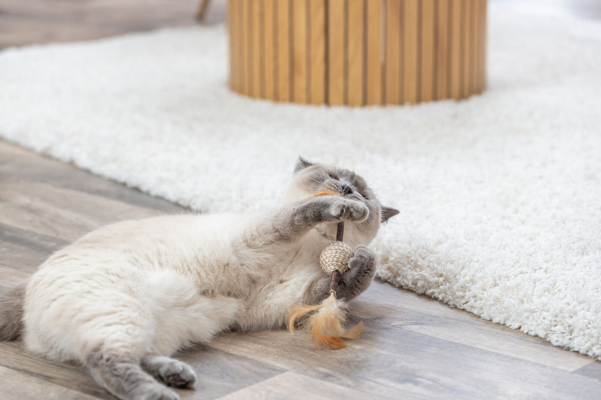 Eine liegende Katze spielt auf einem Holzboden mit einem Spielzeug, im Hintergrund ein flauschiger Teppich.