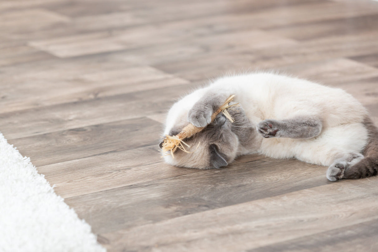 Eine Katze liegt auf einem Holzboden und spielt mit einem Spielzeug, das aus Naturmaterial besteht.