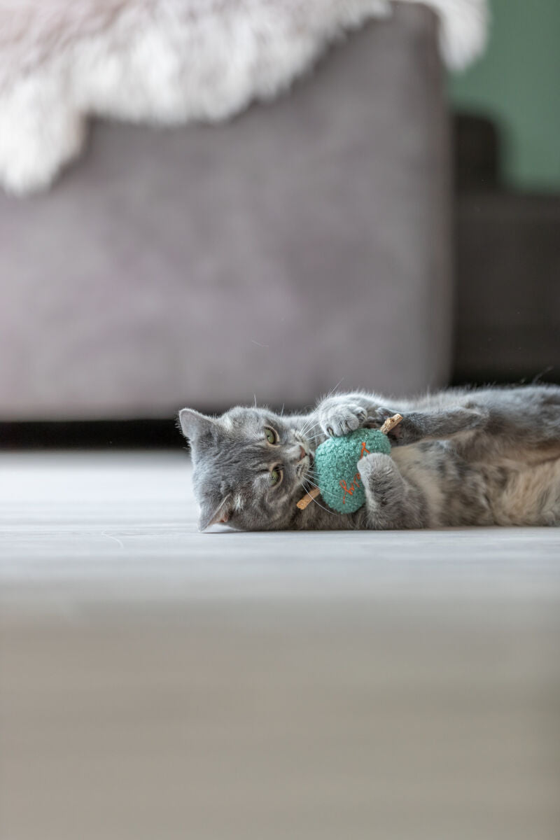 Graue Katze liegt auf dem Boden und spielt mit grünem Spielzeug, Hintergrund unscharf mit Sofa sichtbar.