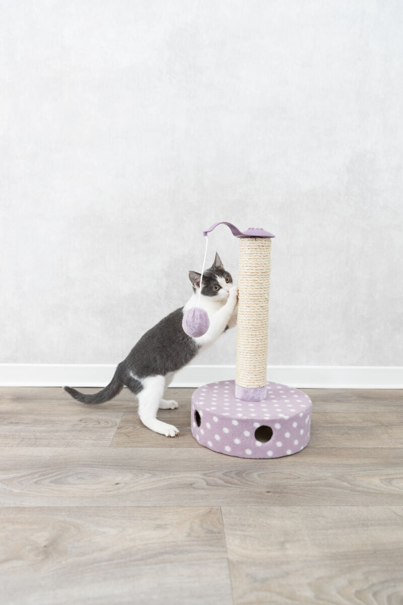 Eine schwarz-weiße Katze spielt an einem Kratzbaum mit lila gepunkteter Basis und einem hängenden Ball.