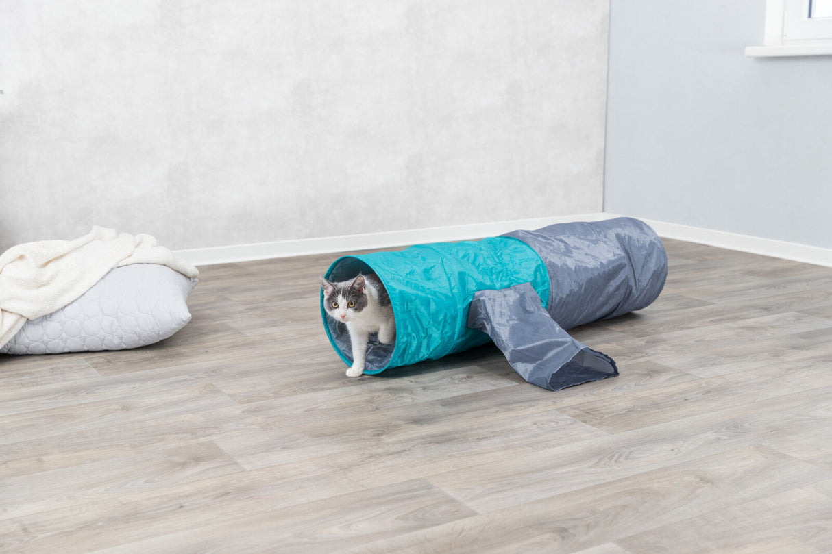 Eine Katze schaut aus einem blauen und grauen Spieltunnel in einem Raum mit Holzfußboden und einem Kissen.