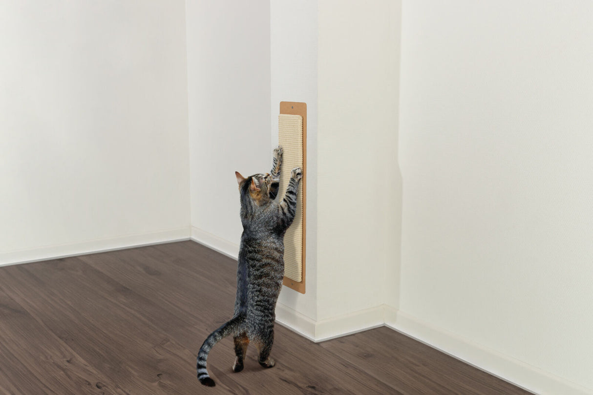 Eine getigerte Katze kratzt an einem beigefarbenen Kratzbrett, das an einer weißen Wand befestigt ist.