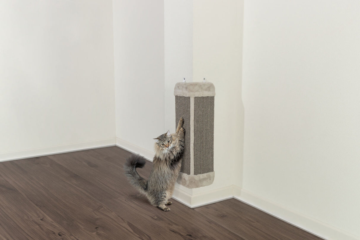 Katze kratzt an vertikal montiertem Kratzbrett aus Sisal in Zimmerecke mit hellen Wänden und dunklem Holzfußboden.