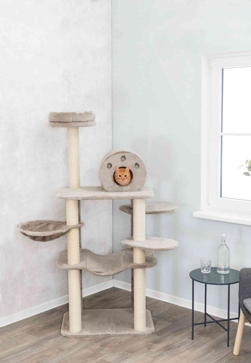 Kratzbaum mit mehreren Ebenen in beige, auf dem eine Katze in einer runden Höhle sitzt, daneben ein Fenster.