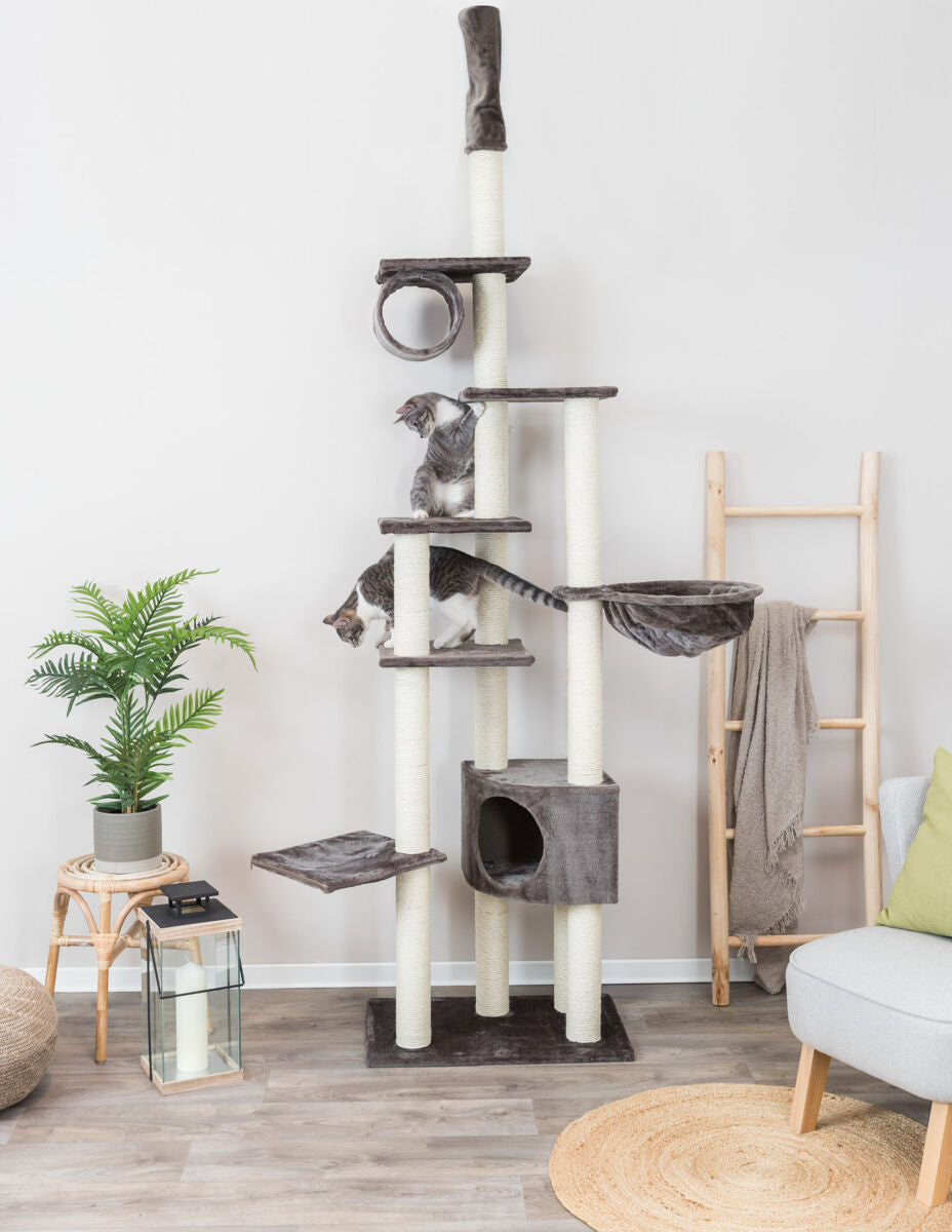 Ein hoher Kratzbaum mit mehreren Plattformen, Höhle und Spielzeug; zwei Katzen klettern darauf, umgeben von Zimmerdekoration.