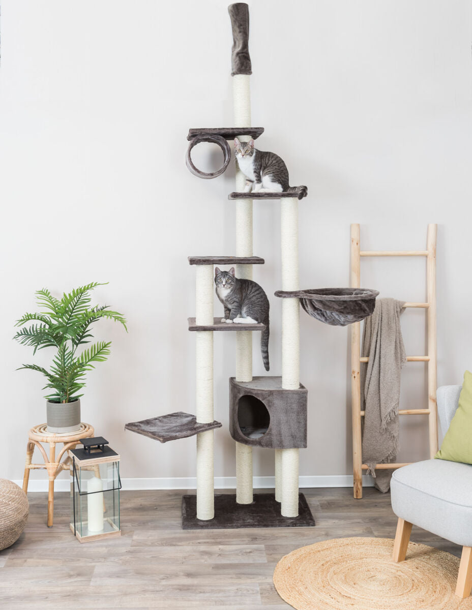 Hoher Kratzbaum mit mehreren Plattformen und Höhlen, darauf zwei Katzen, umgeben von Zimmerpflanzen und Wohnzubehör.