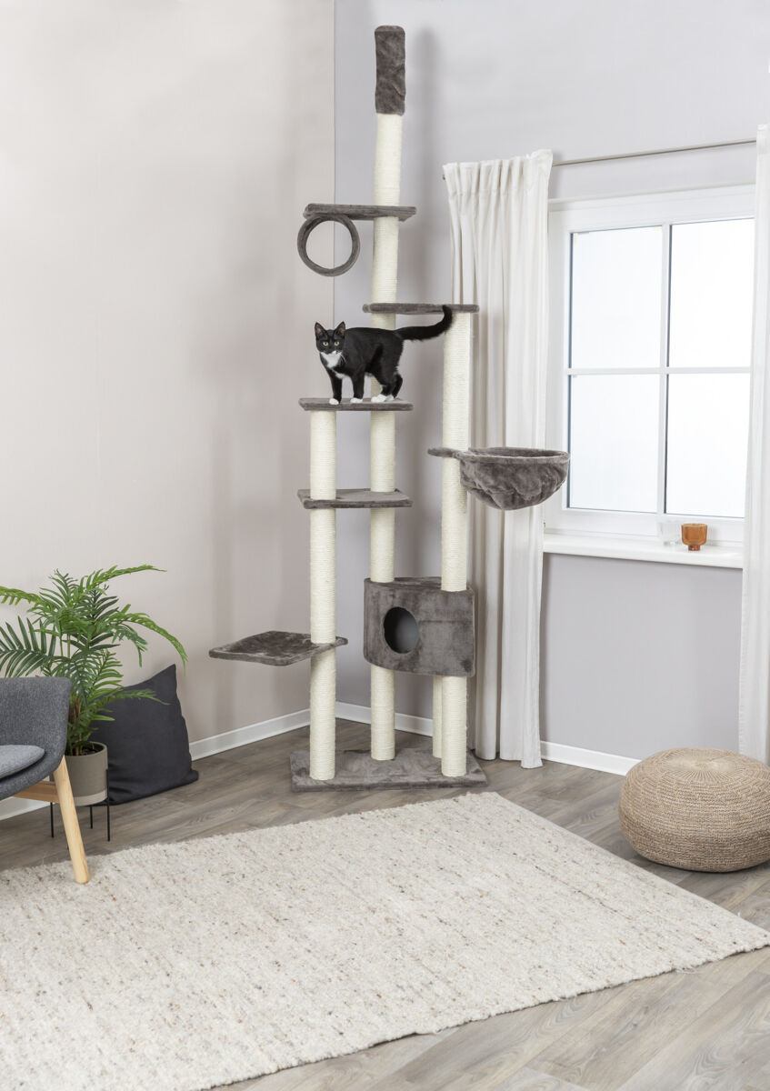 Katzenbaum mit mehreren Ebenen in Beige und Grau, auf dem eine schwarz-weiße Katze steht, neben einem Fenster.