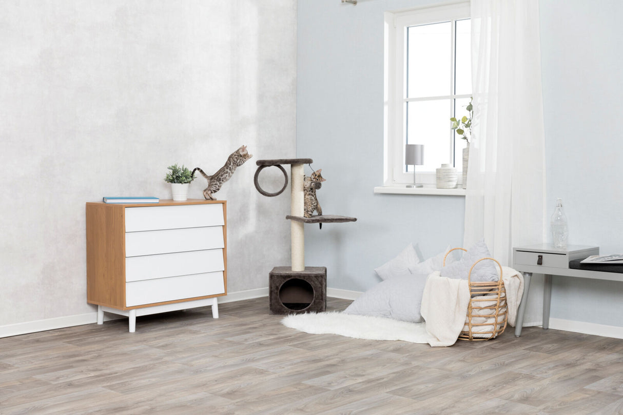 Helles Zimmer mit Katzenspielbaum, auf dem zwei Katzen klettern; links eine Holzkommode mit Pflanze, rechts ein Fenster.