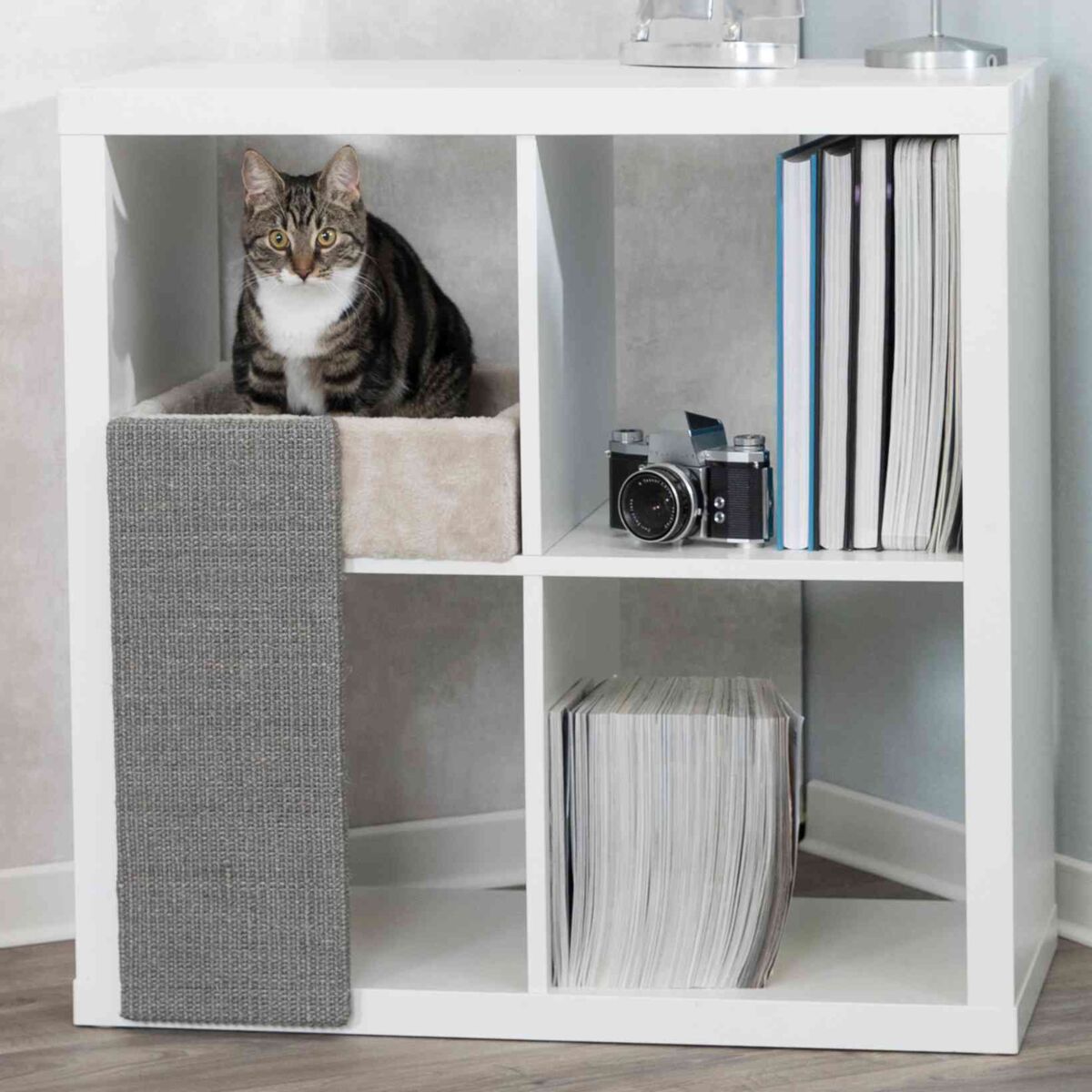 Weiße Regalwand mit sechs Fächern, Katze sitzt in einem beigen Fach, neben Büchern und einer Kamera.