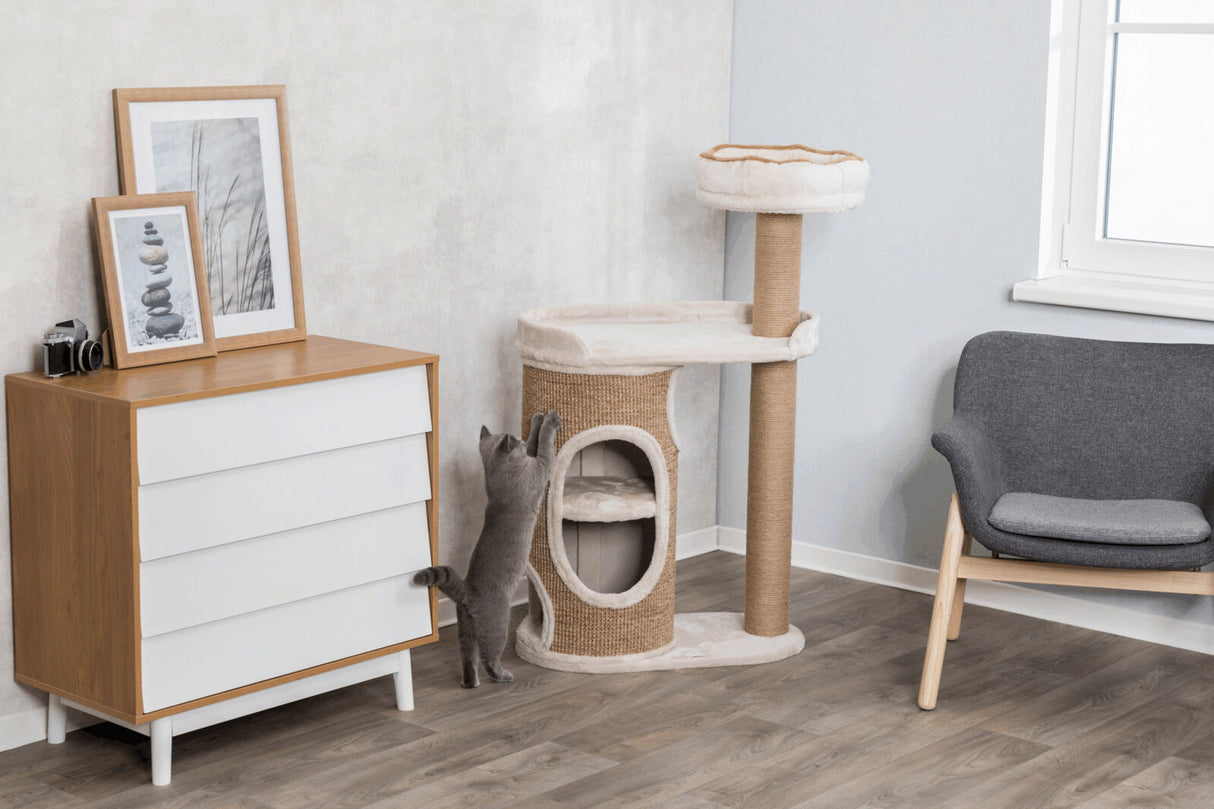 Eine graue Katze streckt sich zu einem beigen Kratzbaum, daneben eine Holzkommode und ein grauer Sessel.