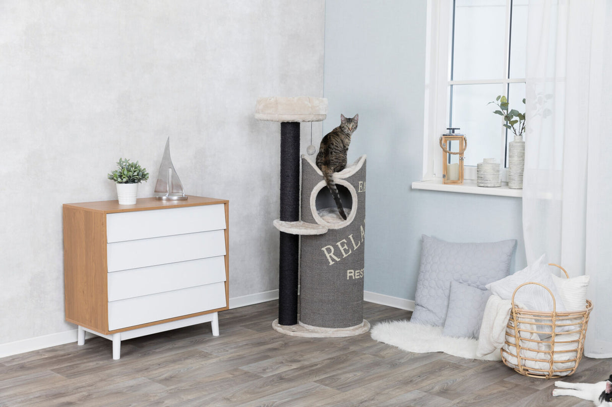 Grauer Kratzbaum mit liegendem Katzenmotiv, braun-weißer Schrank, Pflanzen, Kissen, Korb und Fensterbank.