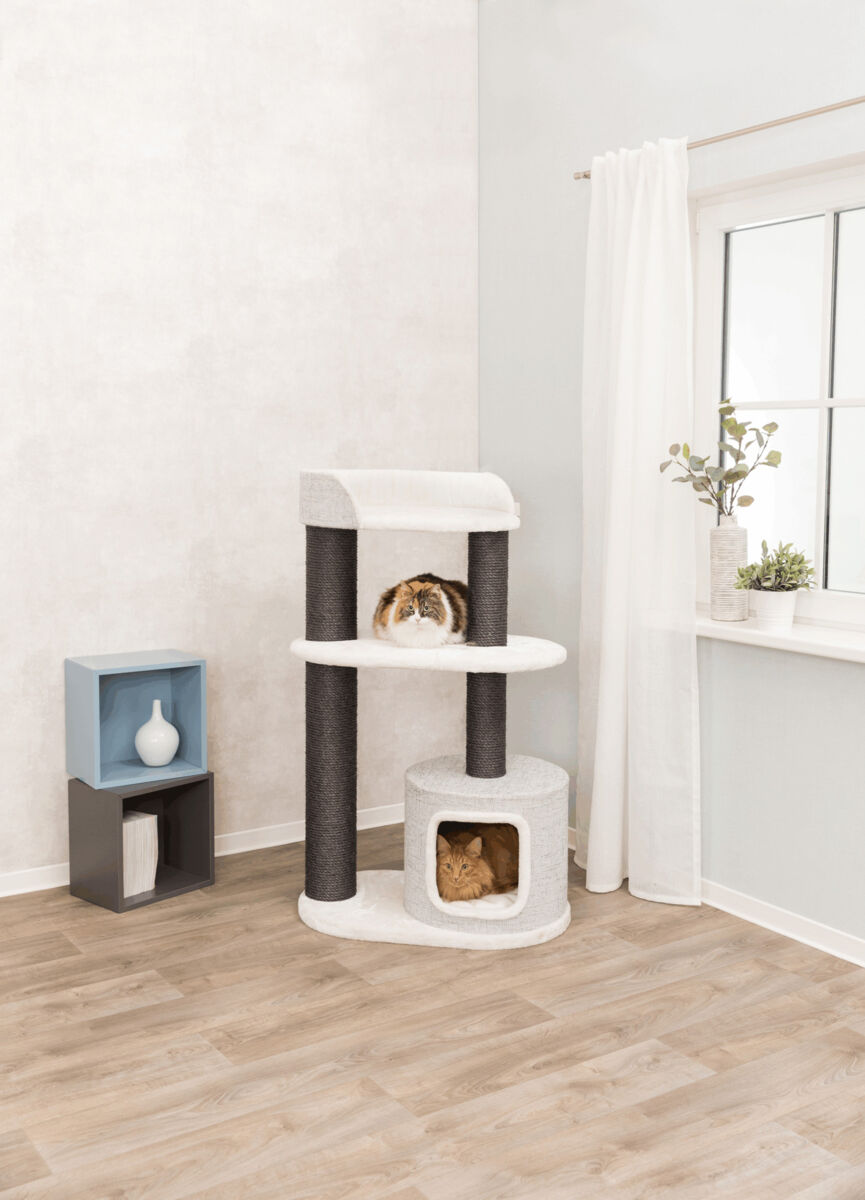 Kratzbaum mit zwei Katzen, eine sitzt oben und die andere in einer Höhle, daneben ein Regal und ein Fenster.