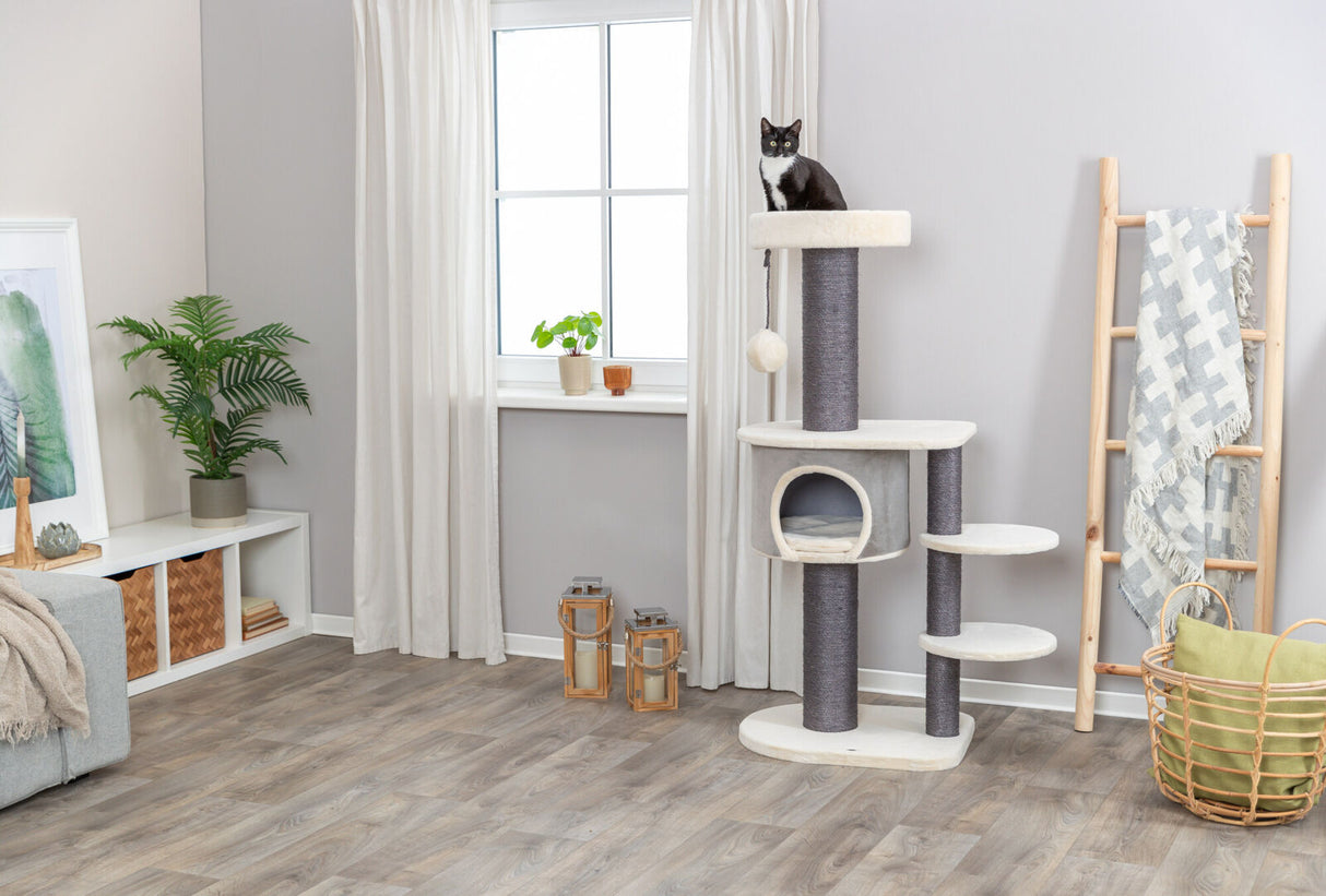 Ein Wohnzimmer mit Holzboden, einem Kratzbaum mit Katze, Vorhängen, einem Regal mit Pflanze, Leiter mit Decke.