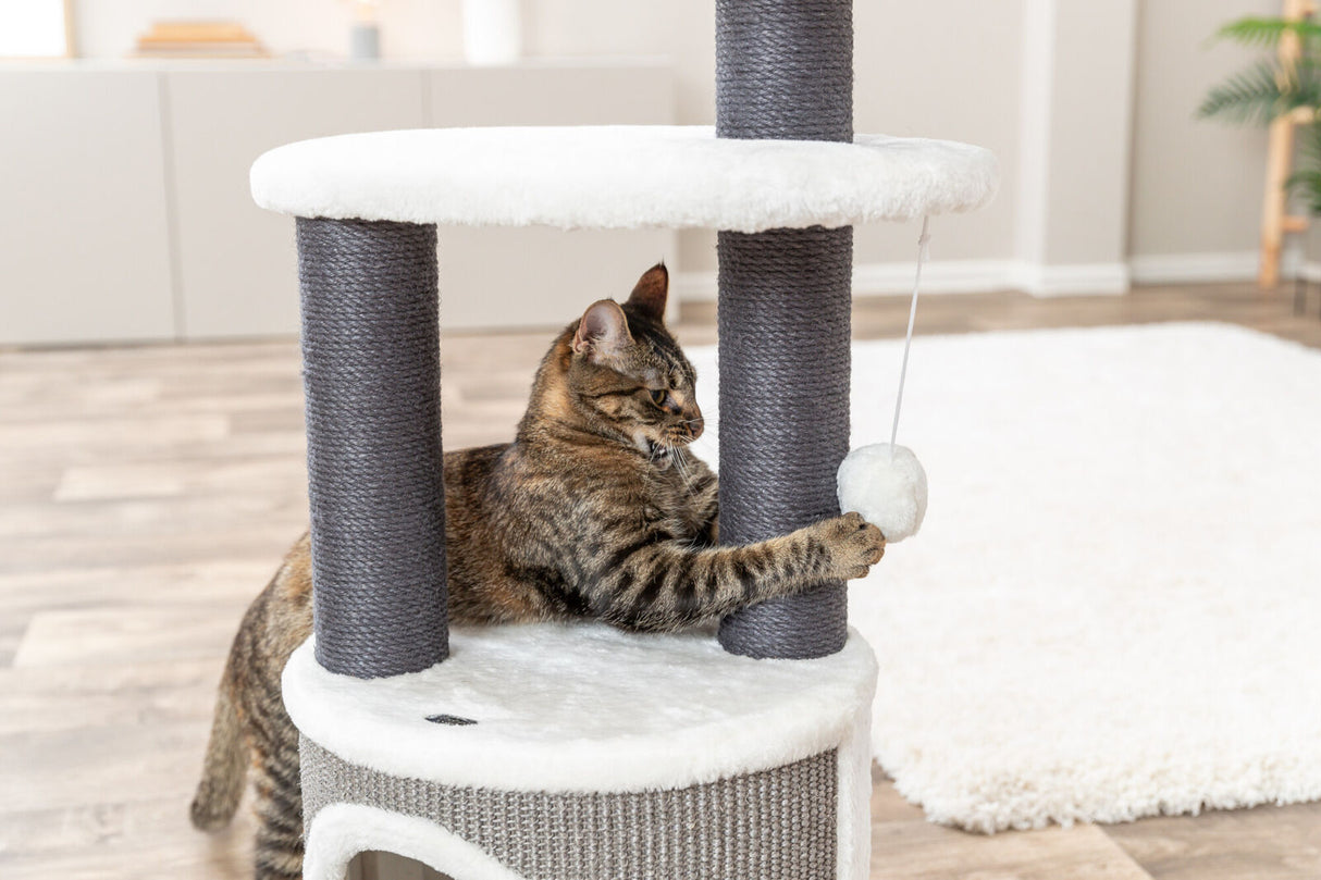 Braun getigerte Katze spielt mit weißem Ball an einem grauen Kratzbaum, der auf einem Holzboden steht.