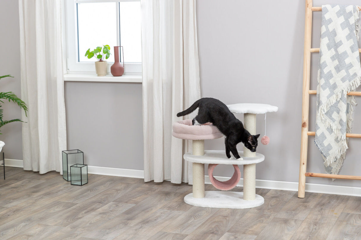 Eine schwarze Katze spielt auf einem beigefarbenen Kratzbaum, daneben ein Fenster und ein Holzregal mit Decke.