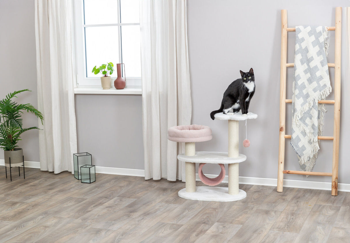 Eine schwarz-weiße Katze sitzt auf einem beige-beigen Kratzbaum in einem hellen Raum mit Pflanze und Leiterdeko.