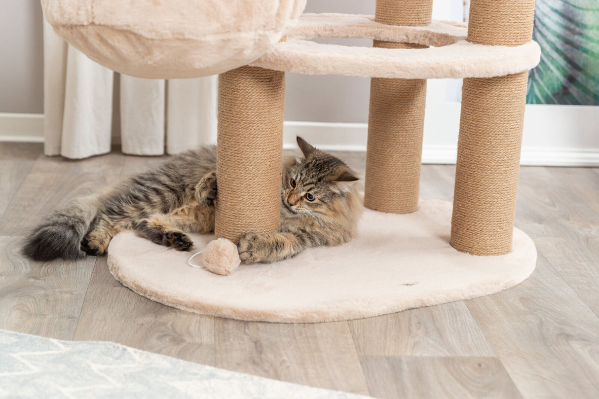 Ein flauschige Katze liegt auf einem Kratzbaum mit beigen Teppichboden und beige Sisalpfosten, umgeben von Holzfußboden.