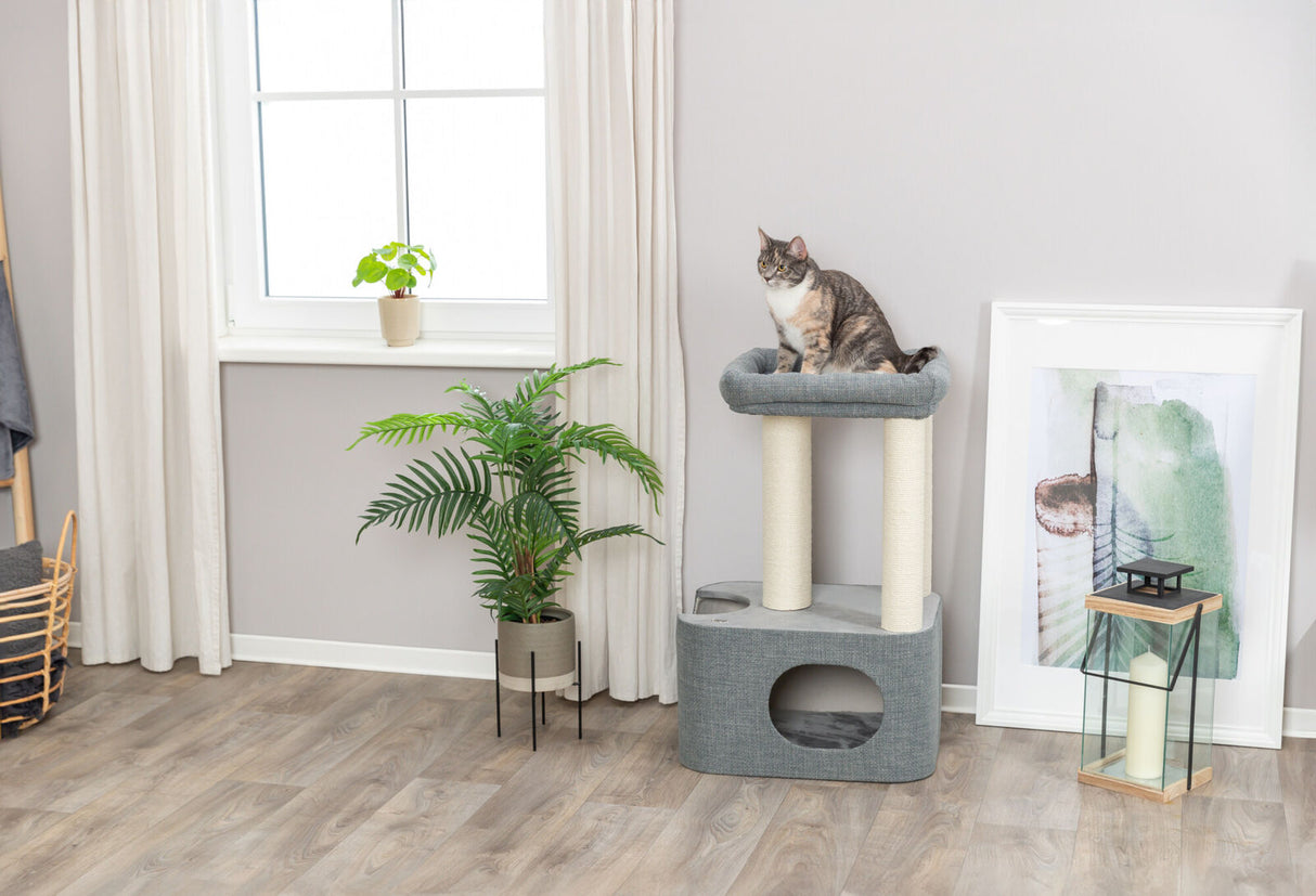 Eine Katze sitzt auf einem grauen Kratzbaum in einem hellen Raum mit Topfpflanze, Fenster und Kerzenlaterne.