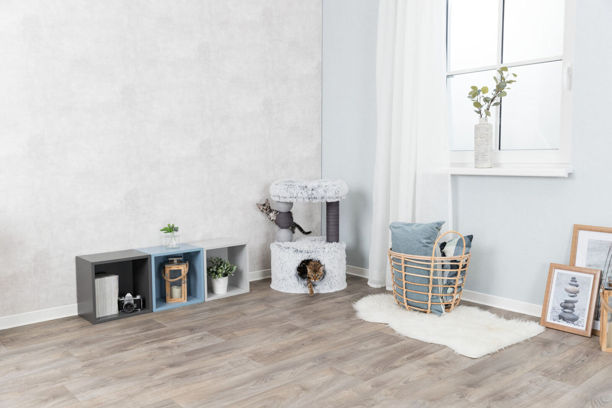 Wohnzimmer mit grauer Wand, Holzboden, Regalen und Kletterbaum, zwei Katzen, Korb mit Kissen und Pflanzen.