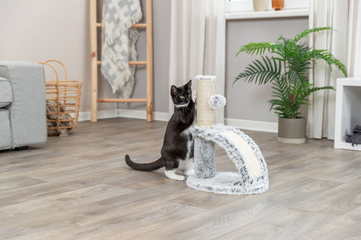 Eine schwarze Katze mit weißen Pfoten spielt an einem Kratzbaum in einem Wohnzimmer mit Holzfußboden.