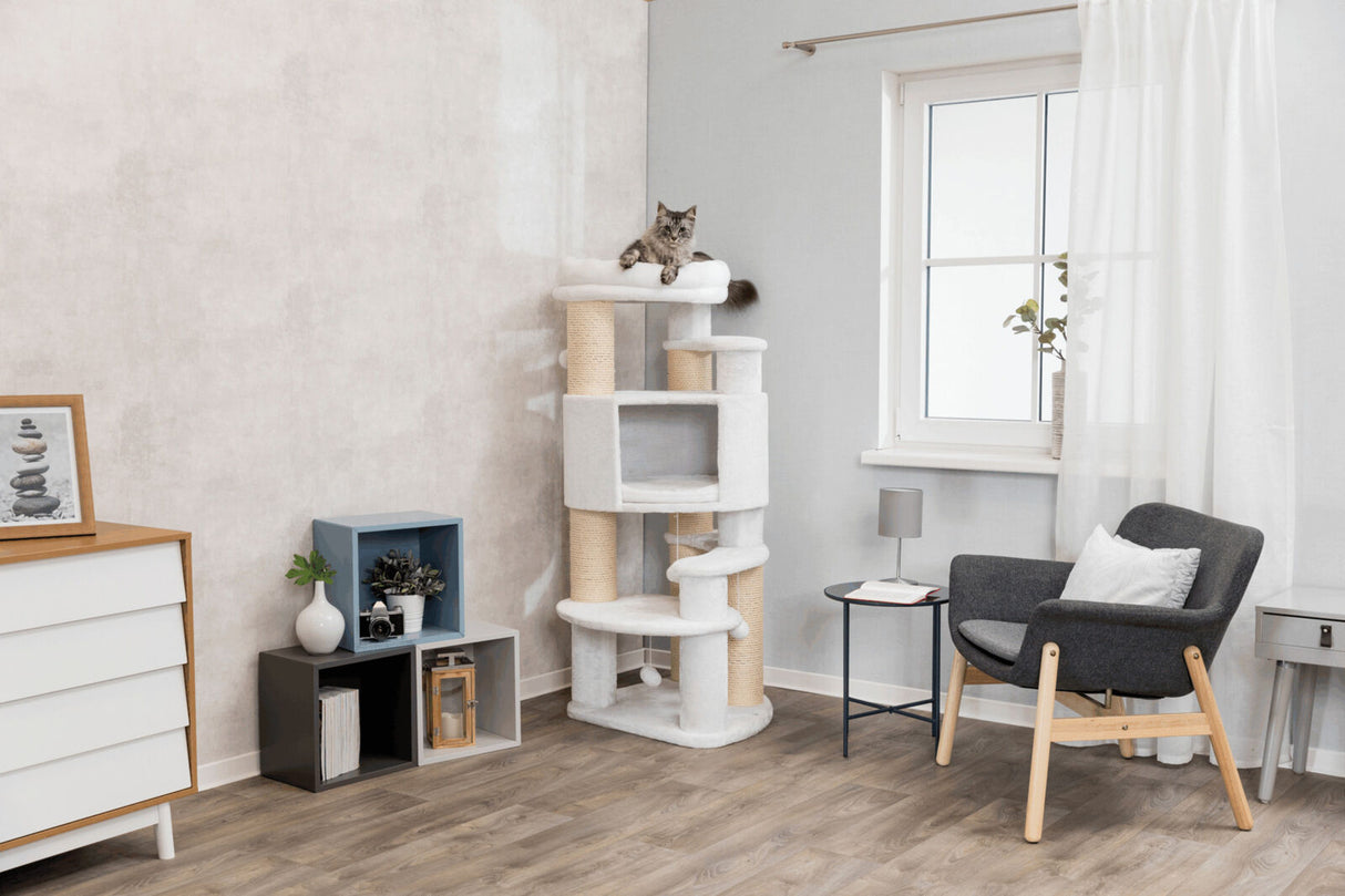 Wohnraum mit Kratzbaum, auf dem eine graue Katze liegt, grauer Sessel, weißer Vorhang, Holzboden, Fenster, Dekoration, Kommode.